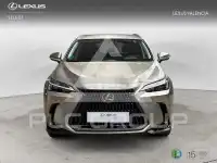 2025 Lexus NX