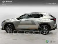 2025 Lexus NX