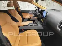 2025 Lexus NX