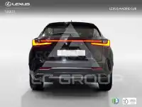 2025 Lexus NX