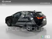 2025 Lexus NX