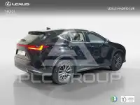 2025 Lexus NX