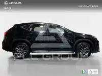 2025 Lexus NX