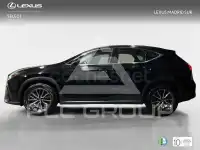 2025 Lexus NX