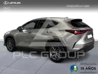 2025 Lexus NX