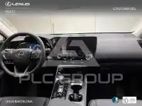 2025 Lexus NX