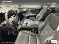 2025 Lexus NX