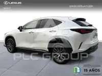 2025 Lexus NX