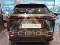 2025 Lexus NX