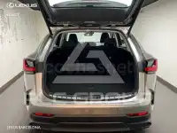 2025 Lexus NX