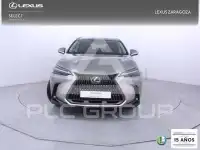 2025 Lexus NX