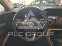 2025 Lexus NX