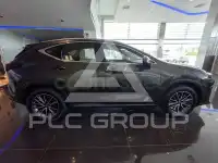 2025 Lexus NX
