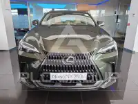 2025 Lexus NX