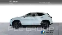 2025 Lexus NX