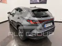 2025 Lexus NX
