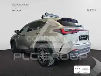2025 Lexus NX