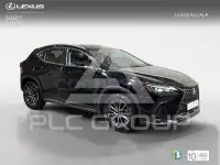 2025 Lexus NX