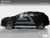 2025 Lexus NX