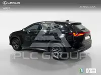 2025 Lexus NX