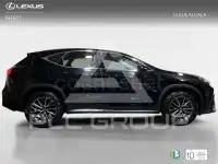 2025 Lexus NX