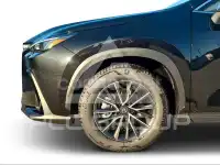 2025 Lexus NX