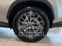 2025 Lexus NX