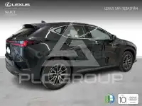 2025 Lexus NX