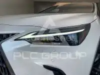 2025 Lexus NX