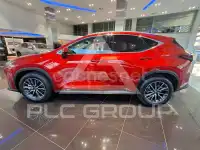 2025 Lexus NX