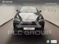 2025 Lexus NX