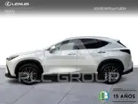 2025 Lexus NX