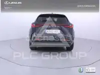 2025 Lexus NX