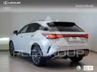2025 Lexus RX
