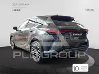 2025 Lexus RX