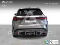 2025 Lexus RX