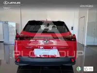 2025 Lexus UX