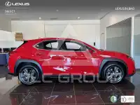 2025 Lexus UX
