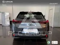 2025 Lexus UX