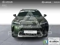 2025 Lexus UX