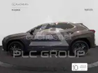 2025 Lexus UX