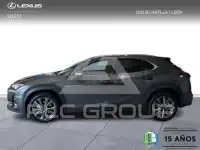 2025 Lexus UX