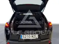 2025 Lexus UX
