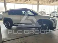 2025 KIA EV