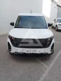 2025 Ford Tourneo