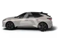 2026 DS Other