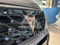 2026 Cupra Other