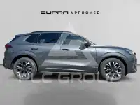 2026 Cupra Other
