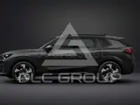 2026 Cupra Other