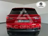 2026 MG 